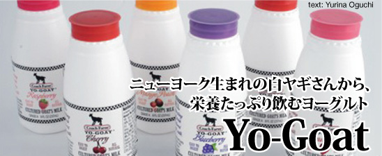 ニューヨーク生まれの白ヤギさんから、栄養たっぷり飲むヨーグルト 「Yo-Goat」－Text Yurina Oguchi