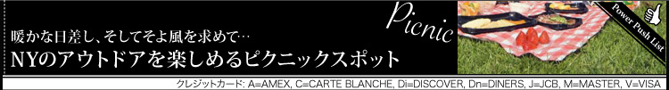 暖かな日差し、そしてそよ風を求めて･･･　NYのアウトドアを楽しめるピクニックスポット